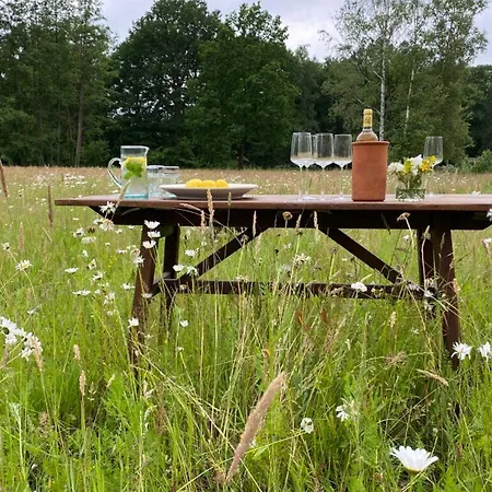 Landgoed Nuwenhuys Holiday home *