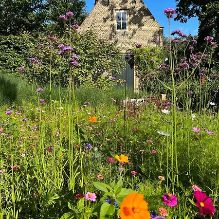 Landgoed Nuwenhuys Dom wakacyjny